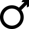 theluthfi