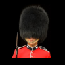 bearskin