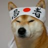 NinjaKoshi