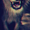Zaneex