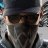 watchdogseo