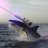 Sharklasers16