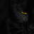 mattepanther