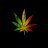 rasta spirit