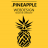 PineappleWeb