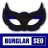 Burglar SEO