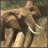 qwik3r