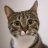 curious_j
