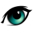 D-Eye