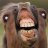 ApexHorse
