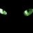 blackkat