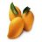 MangoZoo