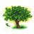 Big SEO Tree