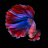 BetaFish