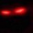Arcanus