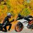 Dinu Reddy