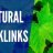 qualitybacklink