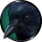 JaydenBlackRaven