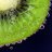 PersistentKiwi