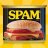 emaildev