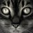 mycatmeows