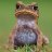 dogtoad