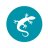 geckostar