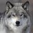 Vintage Wolf