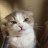ynx.coder