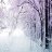 SecretOfWinter