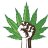 cannaseedusa