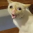 fapfactor