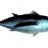 S4tuna