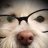 Junkyardog82