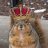 Squirrel King
