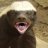 honeybadgersays