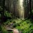 deepforest