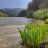 Aldin_Fiverr