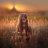 tfskyol