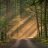 Doreen_Jacobs