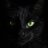 blaackcat