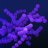 purple_ceo