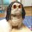 Vee.Dog