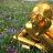 c3po99