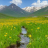 Riverside