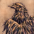 SirCorvus