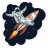 moon_coin