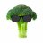 Mr. Cabbage