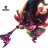 fascinate