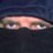 needlinks
